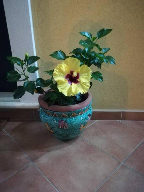 Fotografie z fotogalerie ubytování B&B La Dimora Di Alfonso v destinaci Maratea