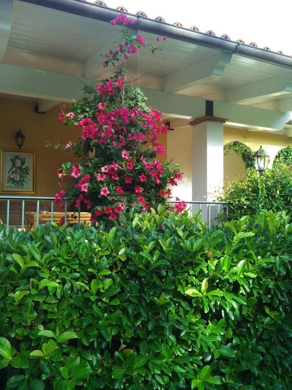 Zahrada ubytování B&B La Dimora Di Alfonso