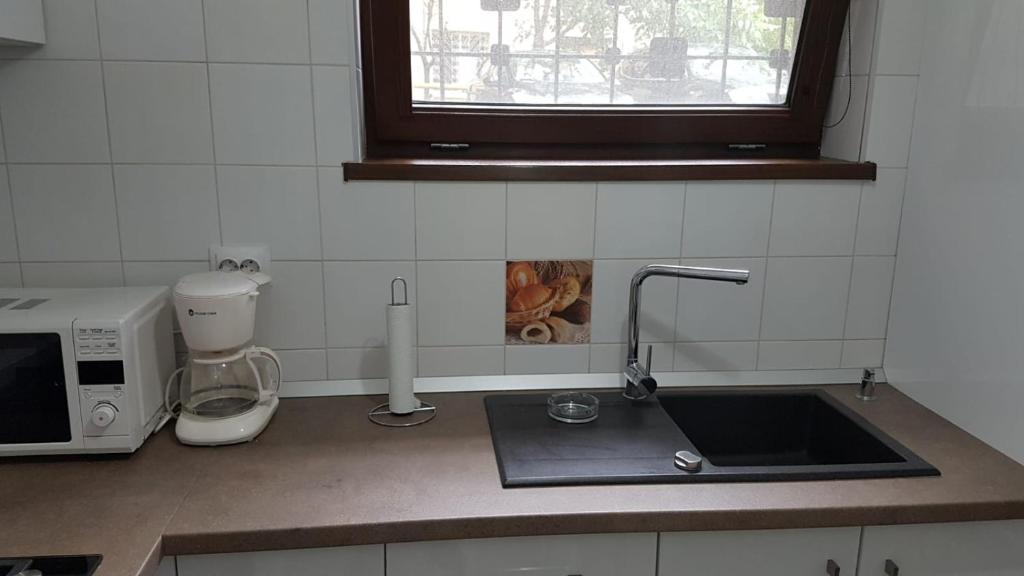 eine Küchentheke mit einer Spüle und einer Mikrowelle in der Unterkunft Tina Apartament 2 in Craiova