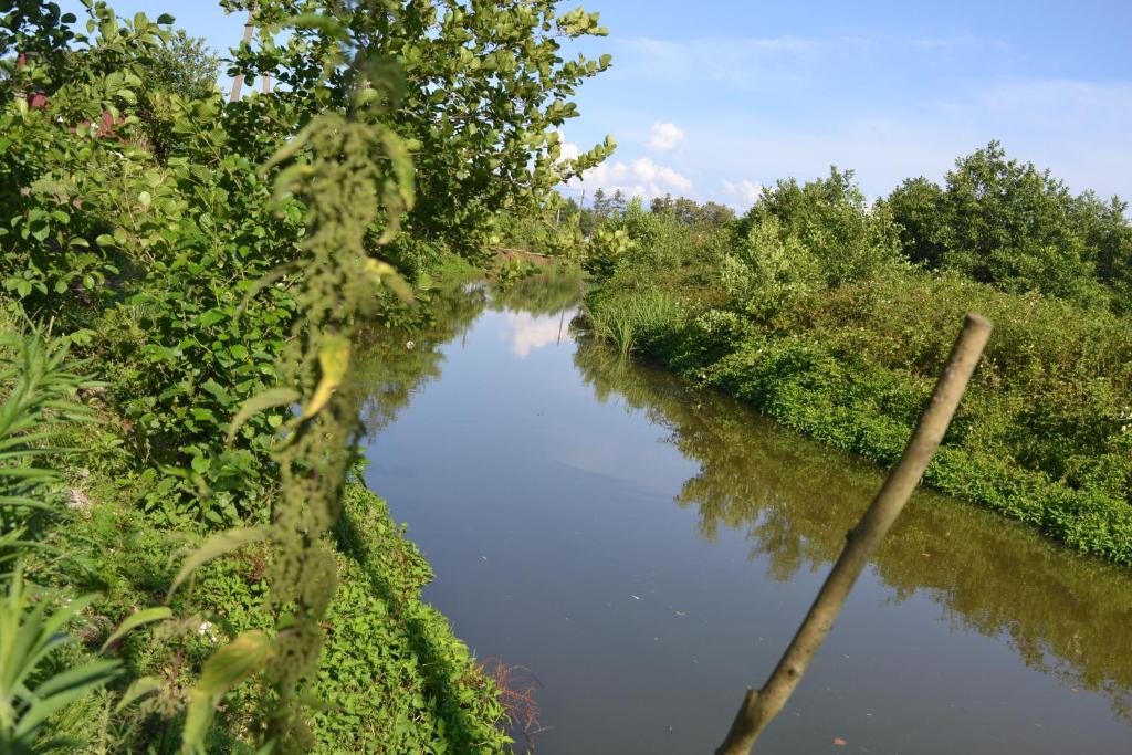 Příroda nedaleko penzionu