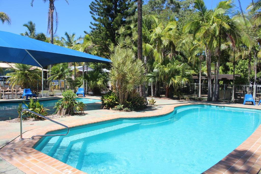 a swimming pool with a blue umbrella and palm trees at Lani's Holiday Island in Forster