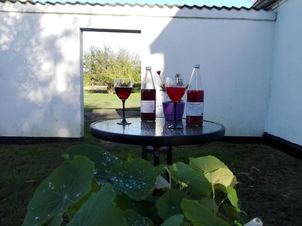 Nápoje v ubytování Moen Oekologisk Bed & Breakfast