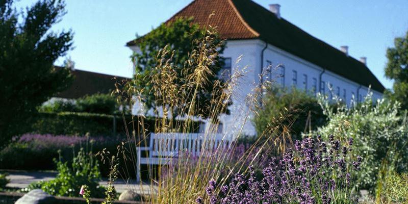 Zahrada ubytování Danhostel Vitskøl Kloster