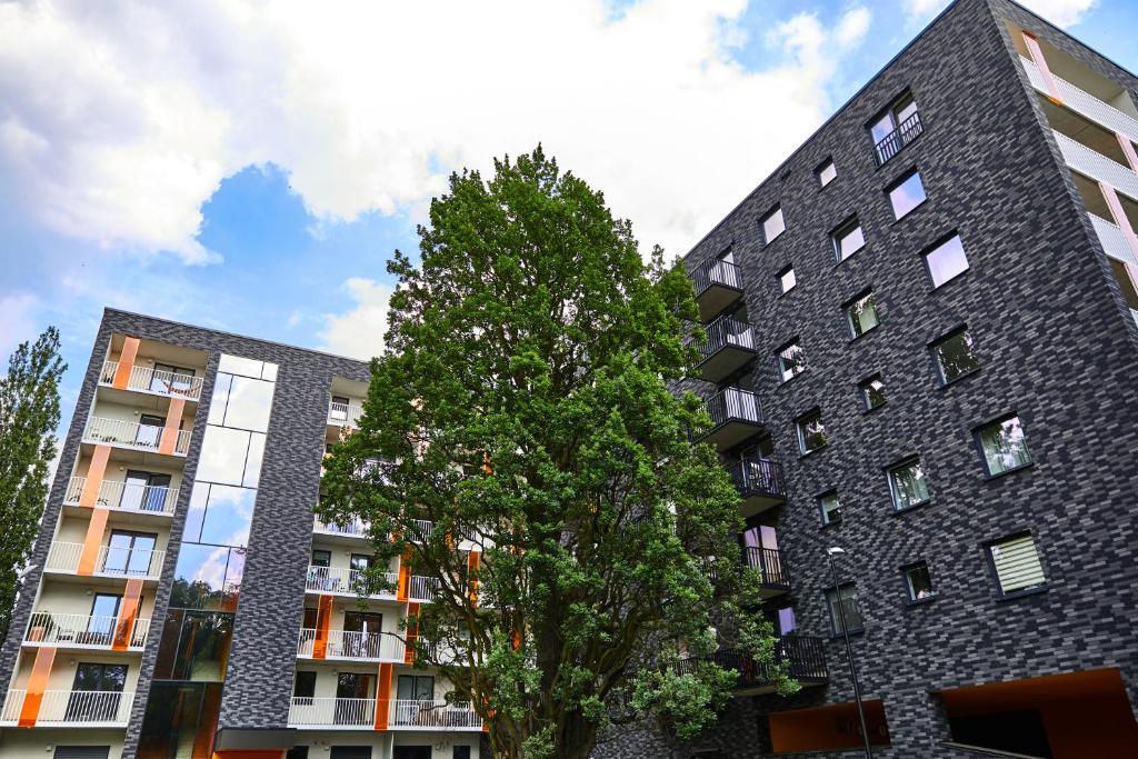 Mojito Apartments - Botanica II - 17