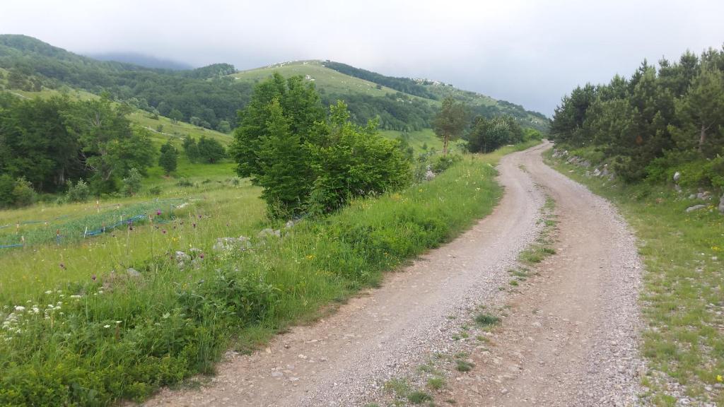 Příroda nedaleko apartmánu