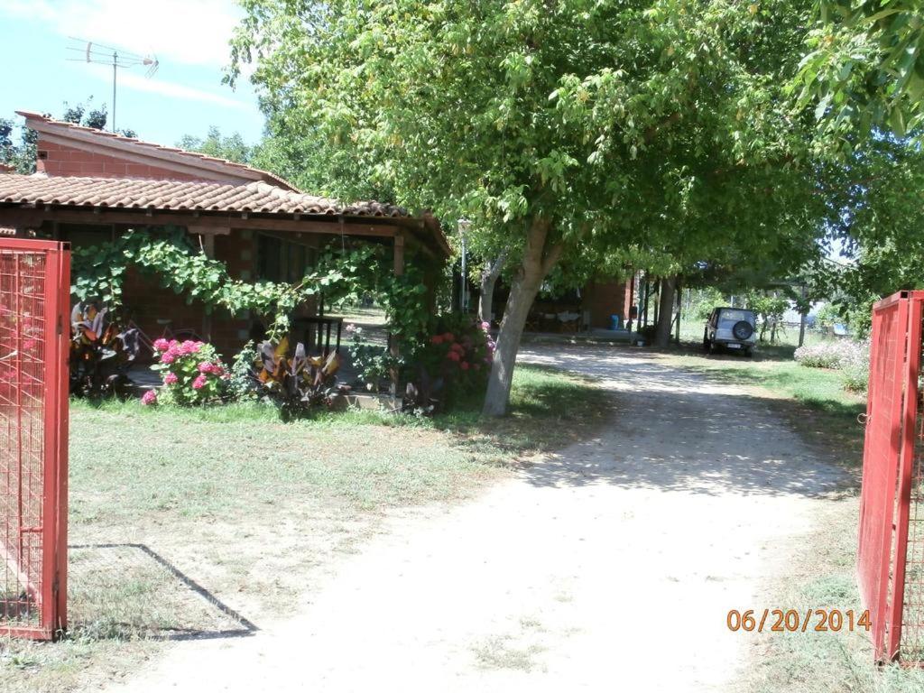 Zahrada ubytování Perseus Studios