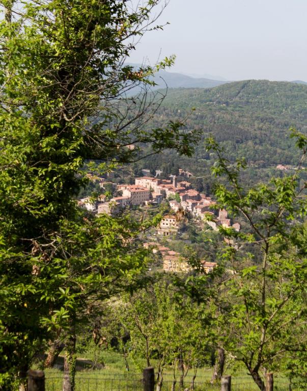 Příroda nedaleko apartmánu