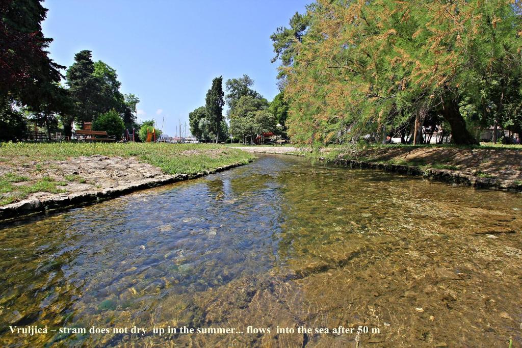 Fotografia z galérie ubytovania Apartment Puhov Zadar v destinácii Zadar