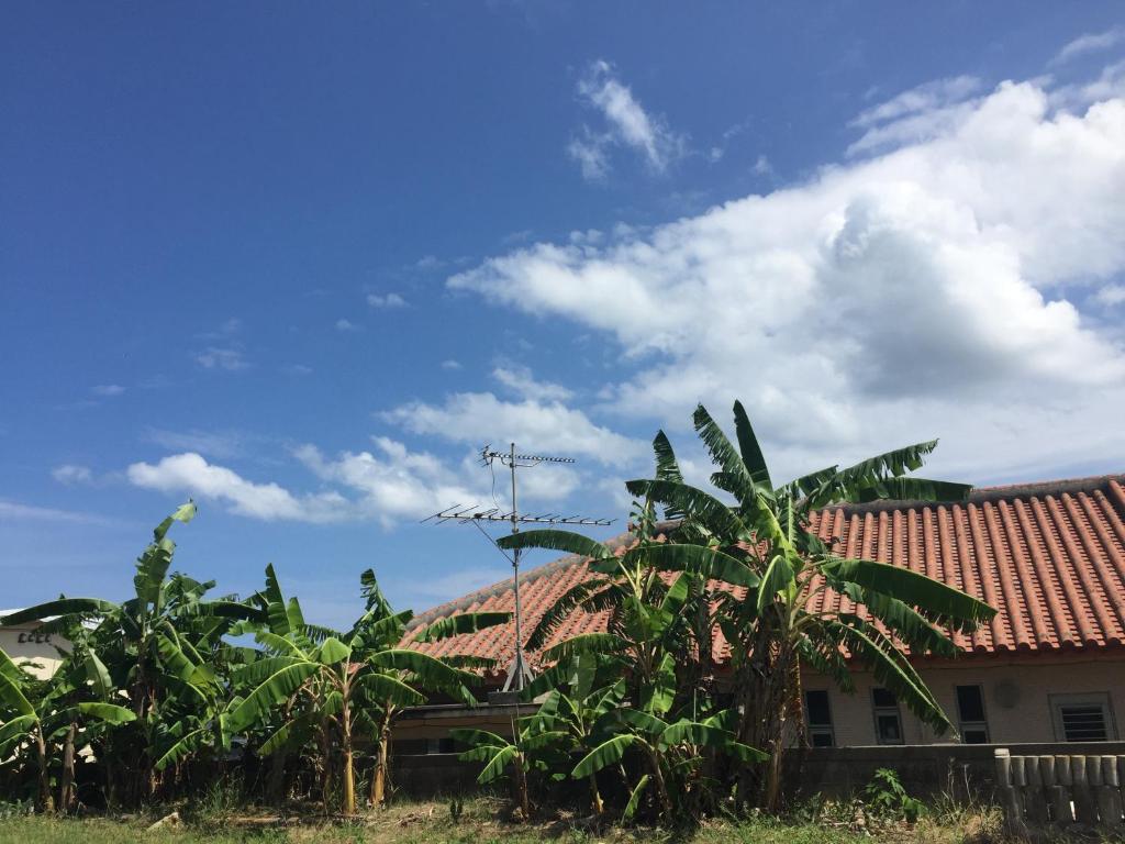a group of palm trees in front of a house at Shimaotoya in Iriomote