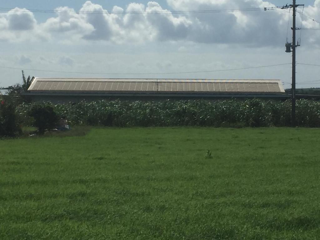 a building in a field with a field of grass at Shimaotoya in Iriomote