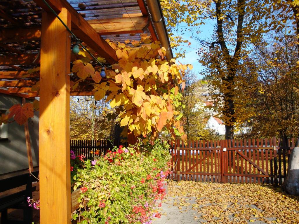 Zahrada ubytování Pension Unstrutpromenade