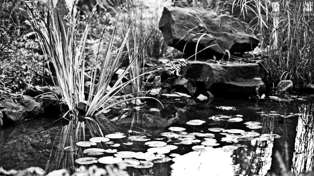 Spa Apartments St. Moritz - 3