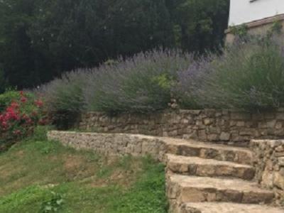 a stone wall next to a garden with flowers at Traumparadies in Bad Sulza