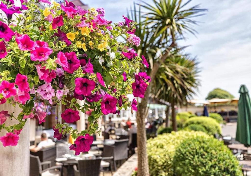 Hotel Miramar - Resim 20