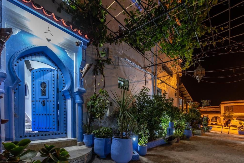 a blue door on a building with potted plants at Dar Saida Hora in Chefchaouene