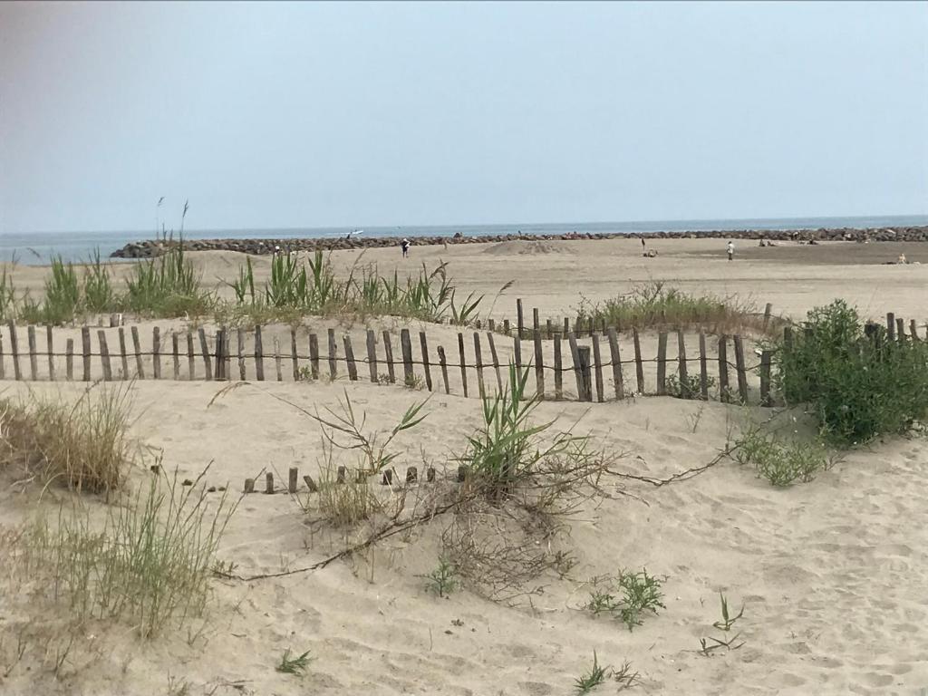 Fotografie z fotogalerie ubytování Appartement Sète La Corniche v Sète