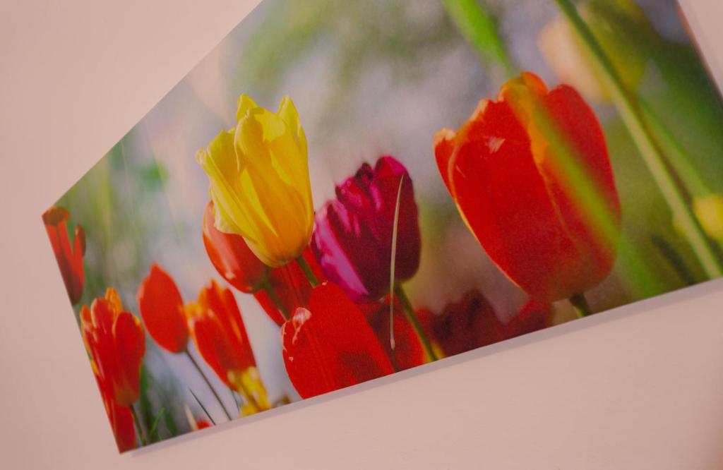 Fotografie z fotogalerie ubytování Hotel Residence Sirenella v destinaci Torri del Benaco