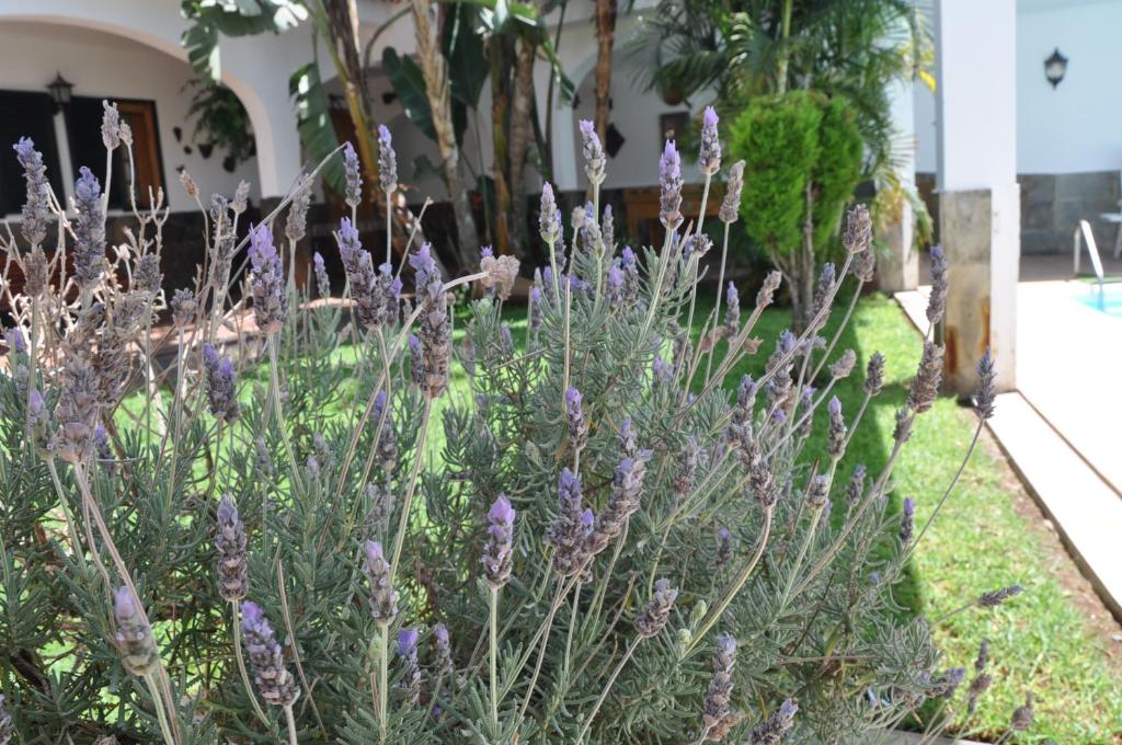 A garden outside Bonita casa cálida para el relax con wifi