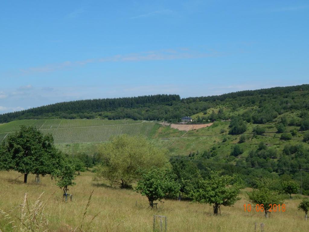 Příroda nedaleko apartmánu