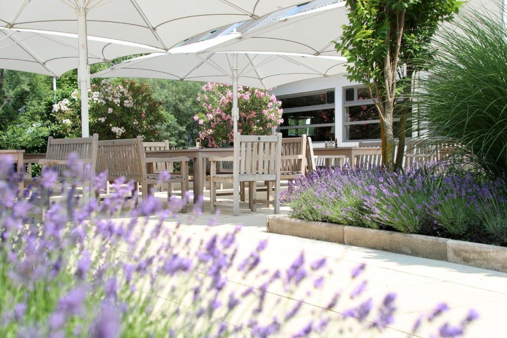 a garden with purple flowers and tables and umbrellas at Storchencamp Gästehaus Purbach in Purbach am Neusiedlersee