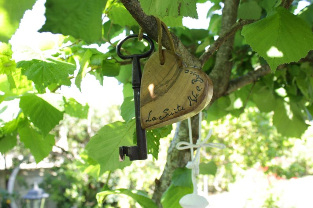 Zahrada ubytování La Suite nel Bosco