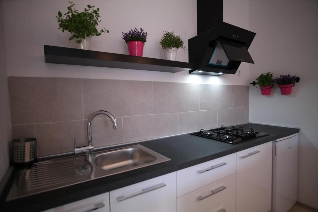 Kuchyň nebo kuchyňský kout v ubytování Apartments Hedona