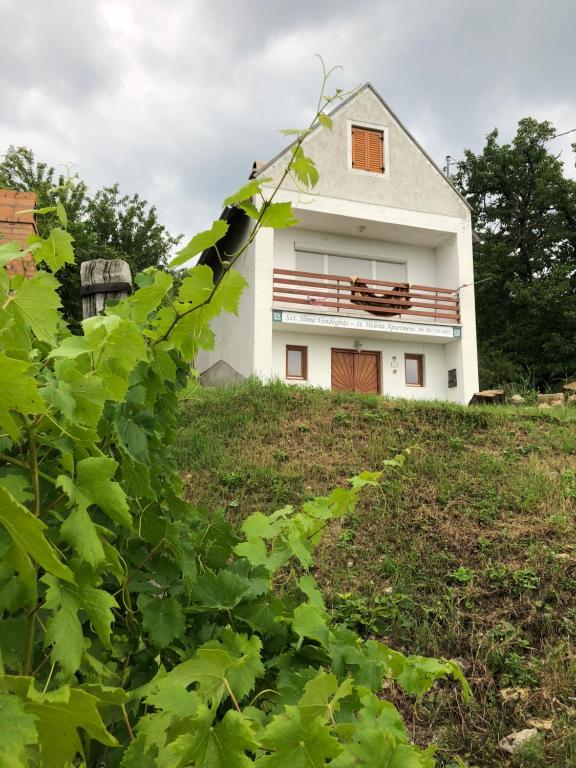 una casa blanca en la cima de una colina en Szent Ilona Vendégház, en Monoszló