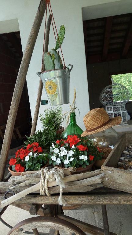 Kép B&B Santa Fosca szállásáról Pederobbában a galériában
