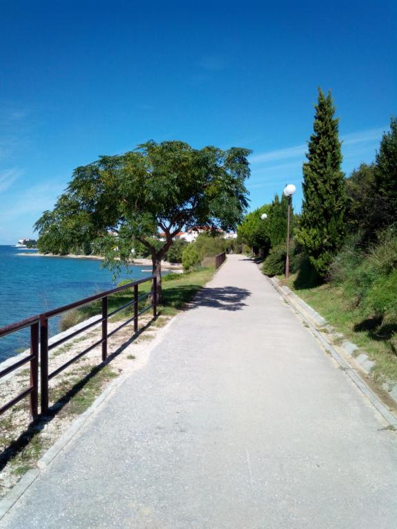Príroda v okolí vily
