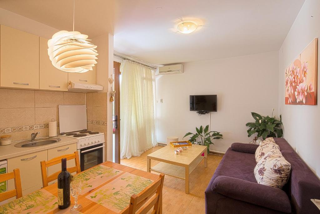 uma cozinha e uma sala de estar com um sofá e uma mesa em Apartment Srdanovic em Budva