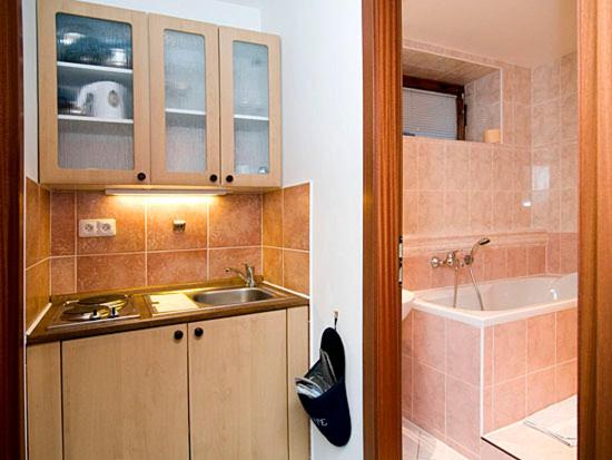 Koupelna v ubytování Pension Apartment Granit