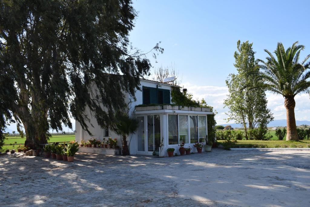 Una casa blanca con un árbol delante. en Lo Mas de Suriaca, en El Poblenou del Delta