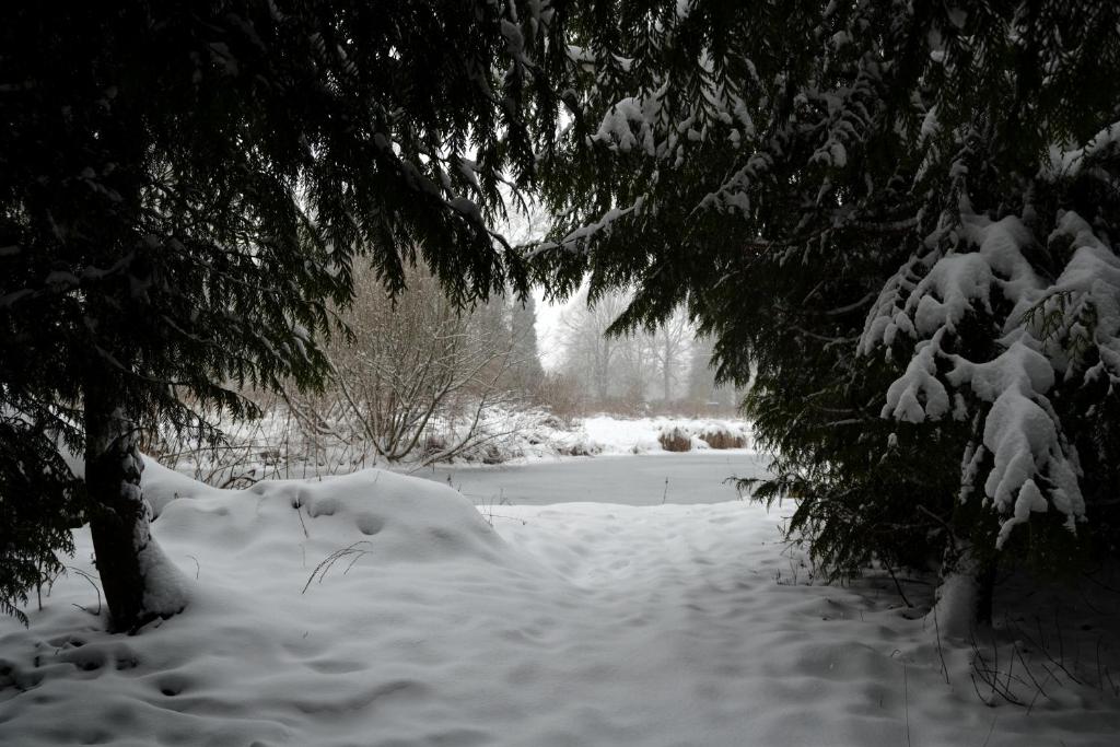 a snow covered ground with a tree in the foreground at La Maison de l'Omignon in Vermand