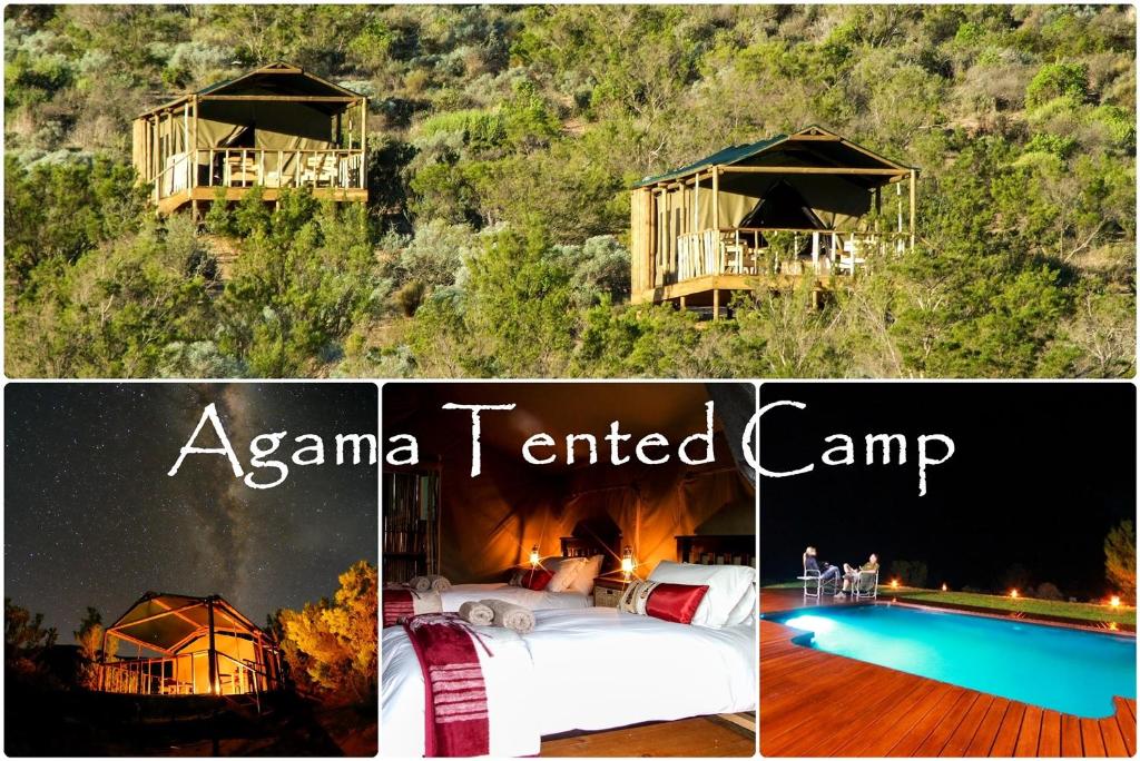 eine Collage mit Bildern eines Zeltlagers und eines Pools in der Unterkunft Agama Tented Camp in Garies