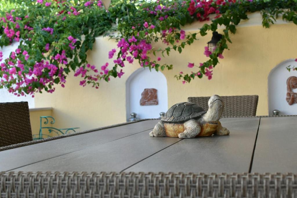 zwei ausgestopfte Schildkröten auf einem Tisch in der Unterkunft La belle Hélène in Spetses