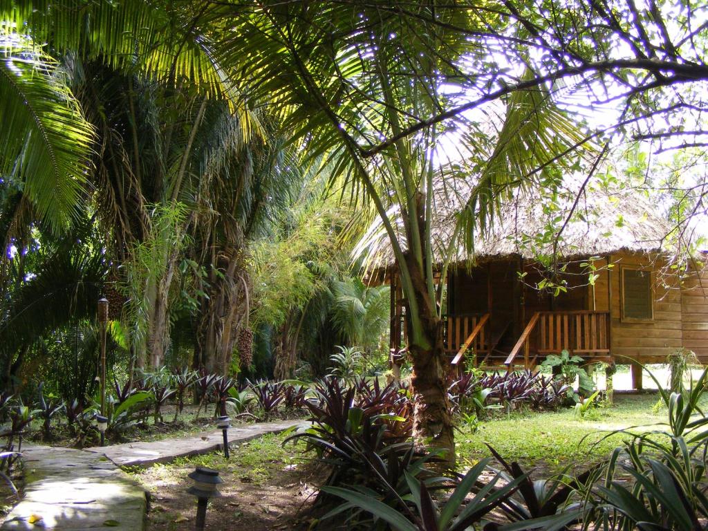 Vườn quanh Cohune Palms River Cabanas