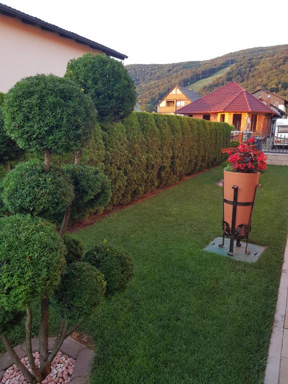 Zahrada ubytování Rooms Beros
