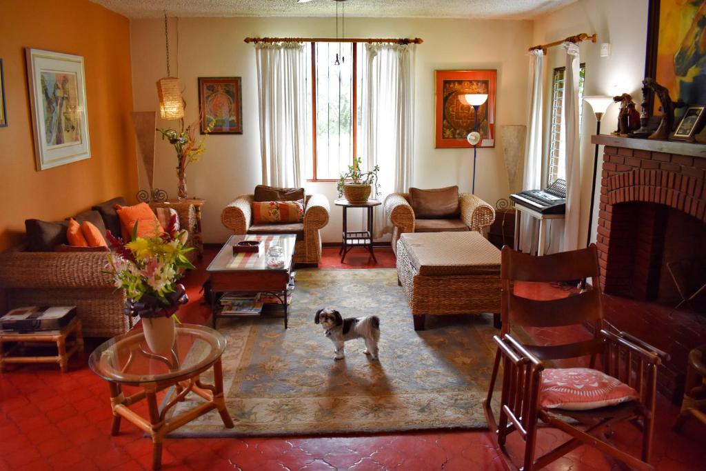 Posezení v ubytování Cariari Bed & Breakfast