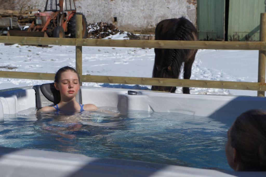 Hosté ubytování Ölands Yoga Studio & Islandshästar, Stugor & Rum