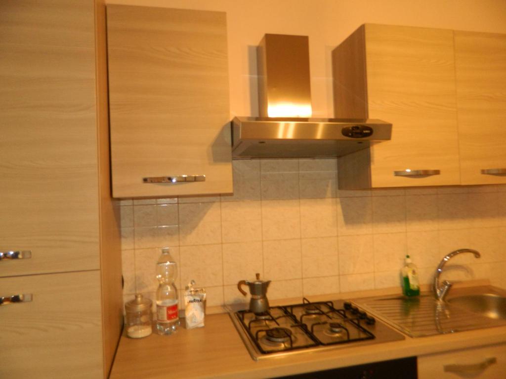 kuchnia ze zlewem i kuchenką górny piekarnik w obiekcie Appartamento Alba w mieście Mozzate