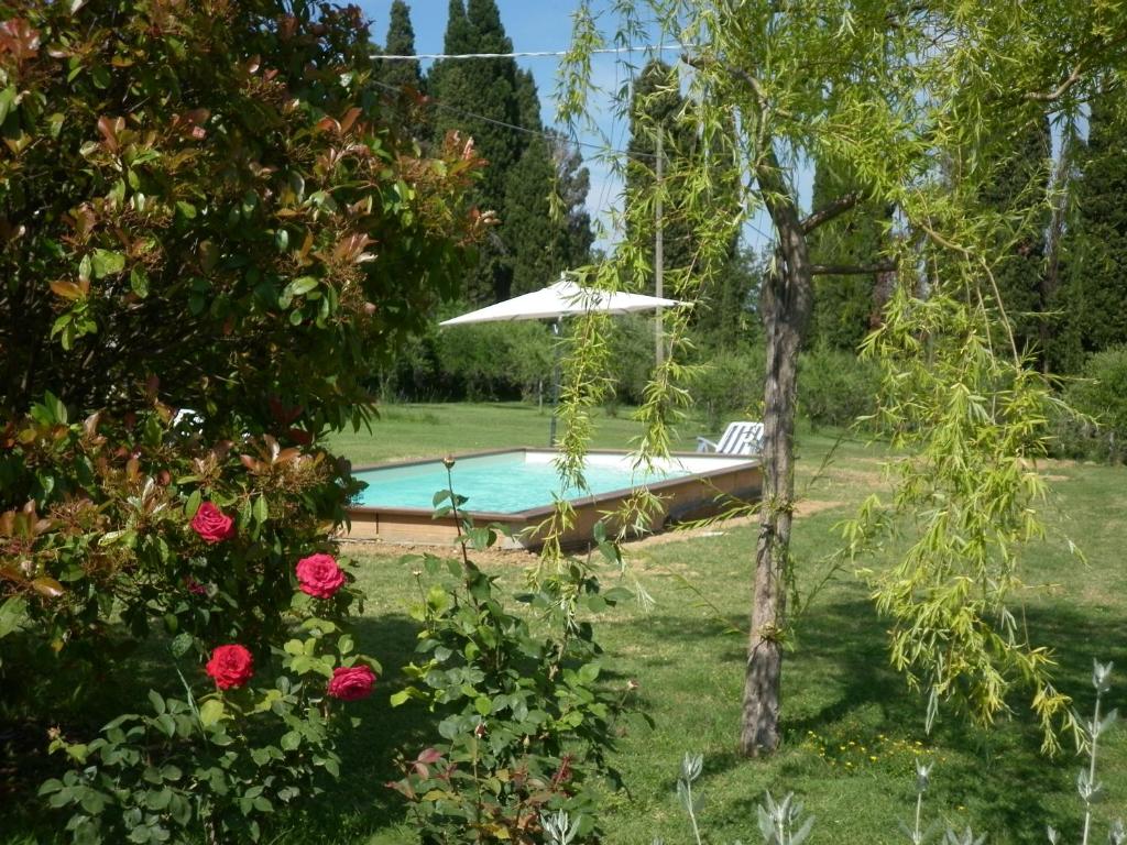 A garden outside Villa Jolanda