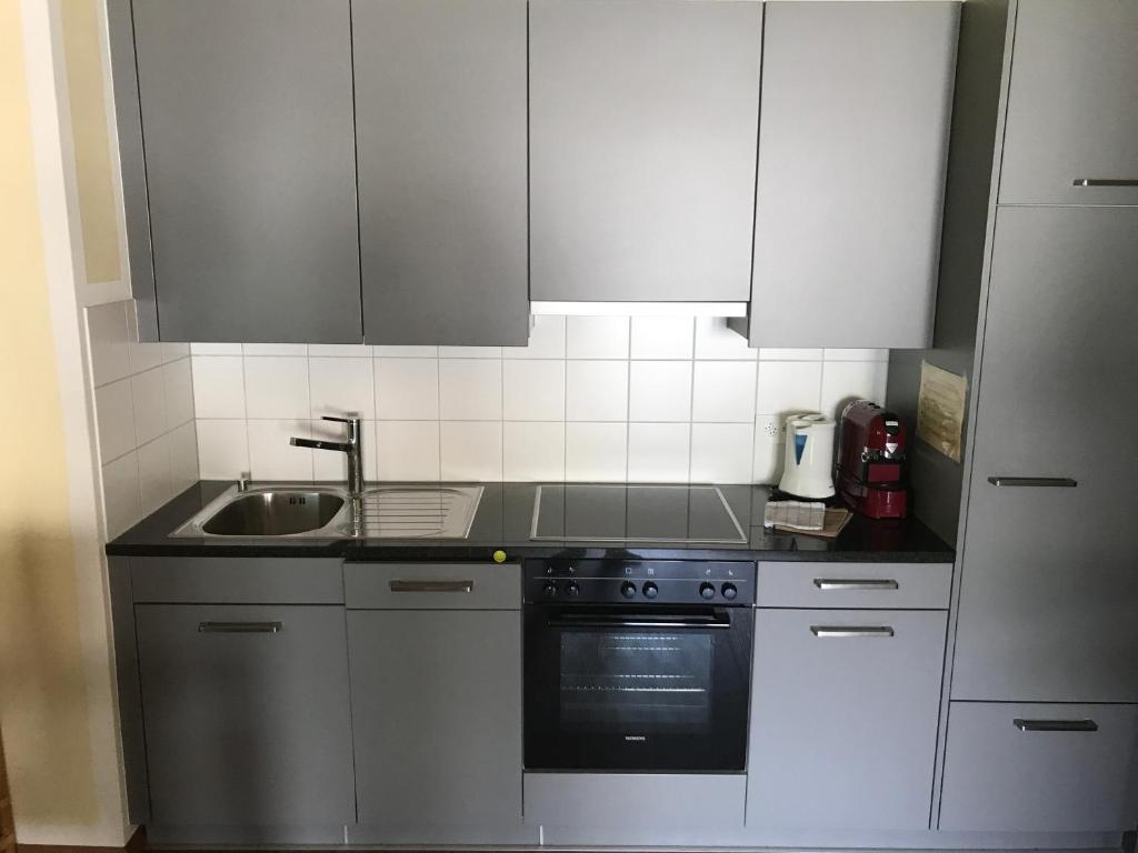 Kuchyň nebo kuchyňský kout v ubytování Aladin Apartments St Moritz
