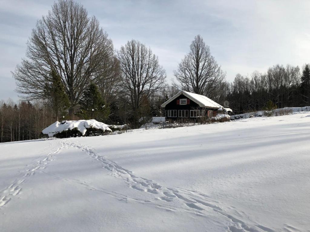 Rabens Cottage v zimě