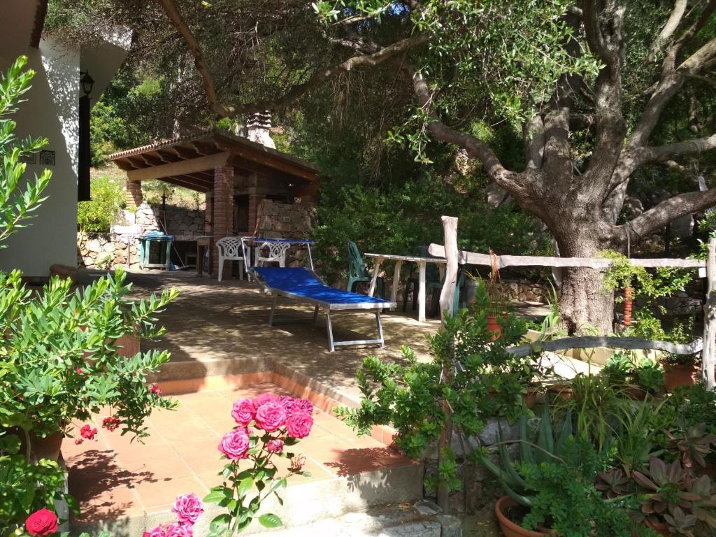 Zahrada ubytování B&B S'Archiotta