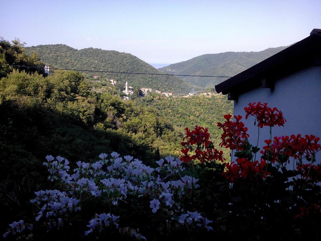 A general mountain view or a mountain view taken from a panziókat