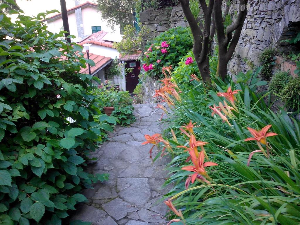 A garden outside B&B I Glicini