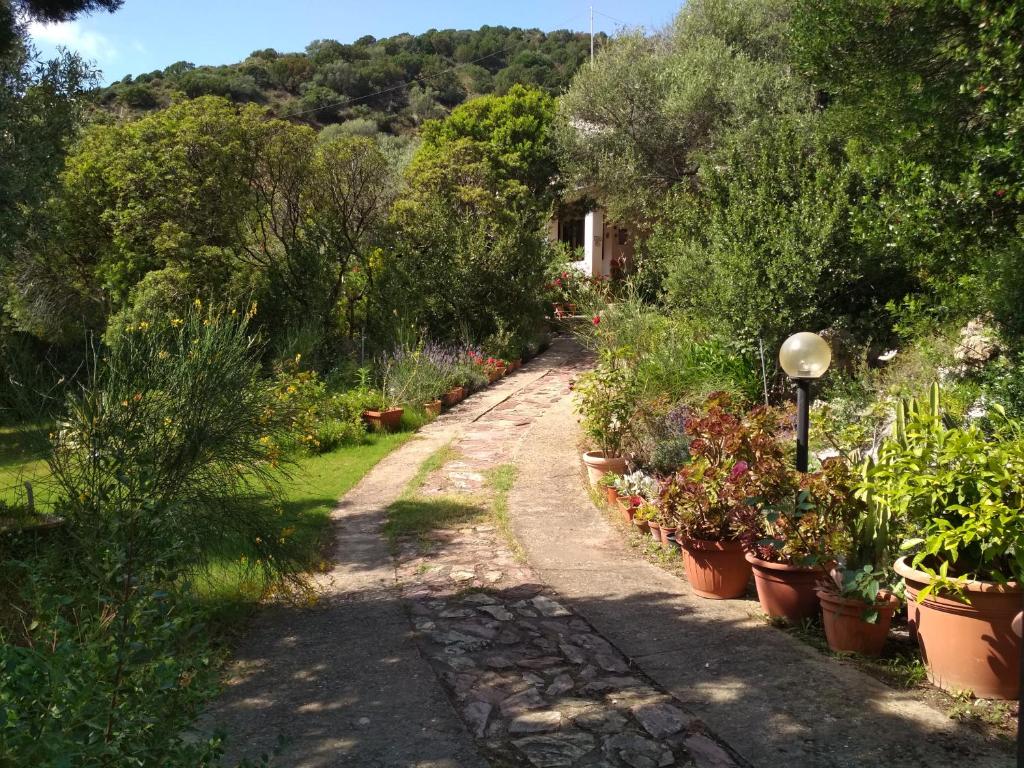 Zahrada ubytování B&B S'Archiotta