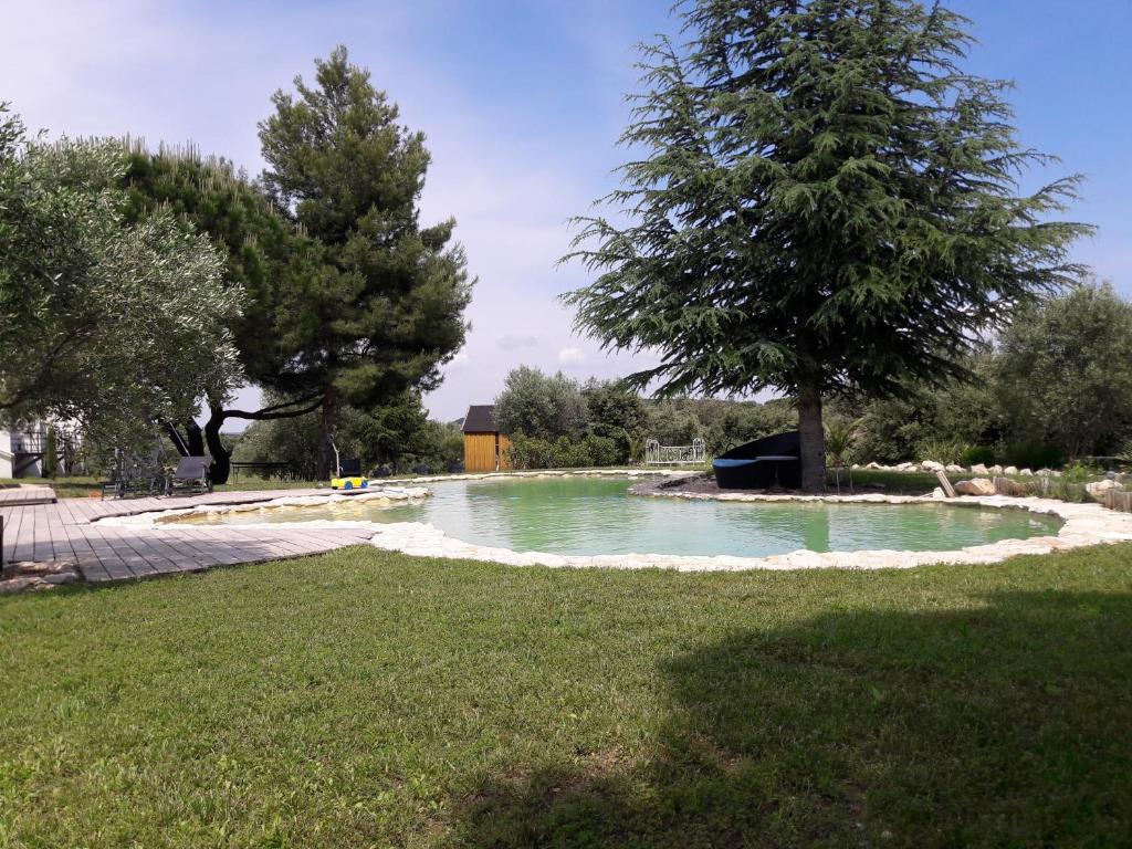 un estanque en medio de un parque con un árbol en La Lune ô Collines - Gîte, en Lédenon