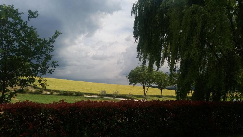 Zahrada ubytování Valle del Poggio