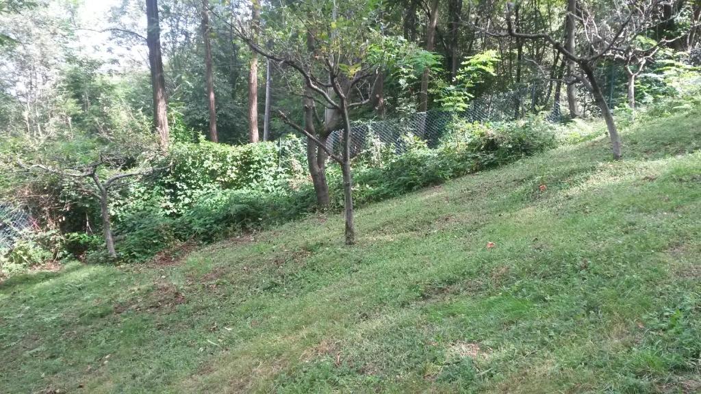 Jardín al aire libre en Casa Ronit